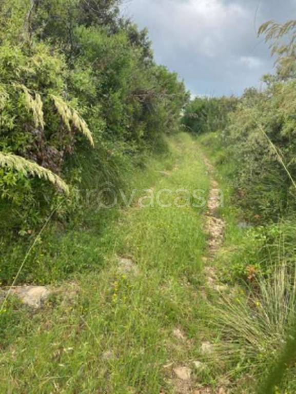 immagine annuncio 9 di 12