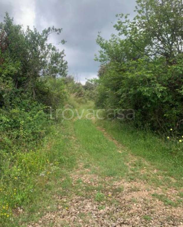 immagine annuncio 10 di 12