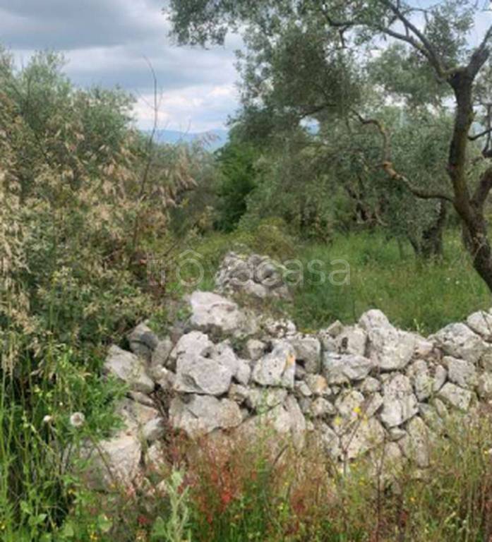 immagine annuncio 11 di 12