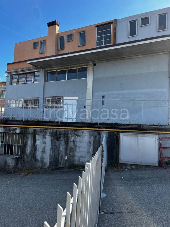 immagine annuncio 3 di 8