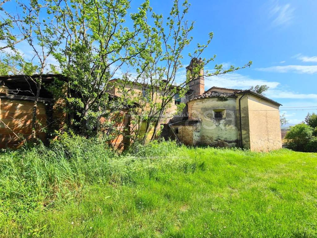 immagine annuncio 6 di 12