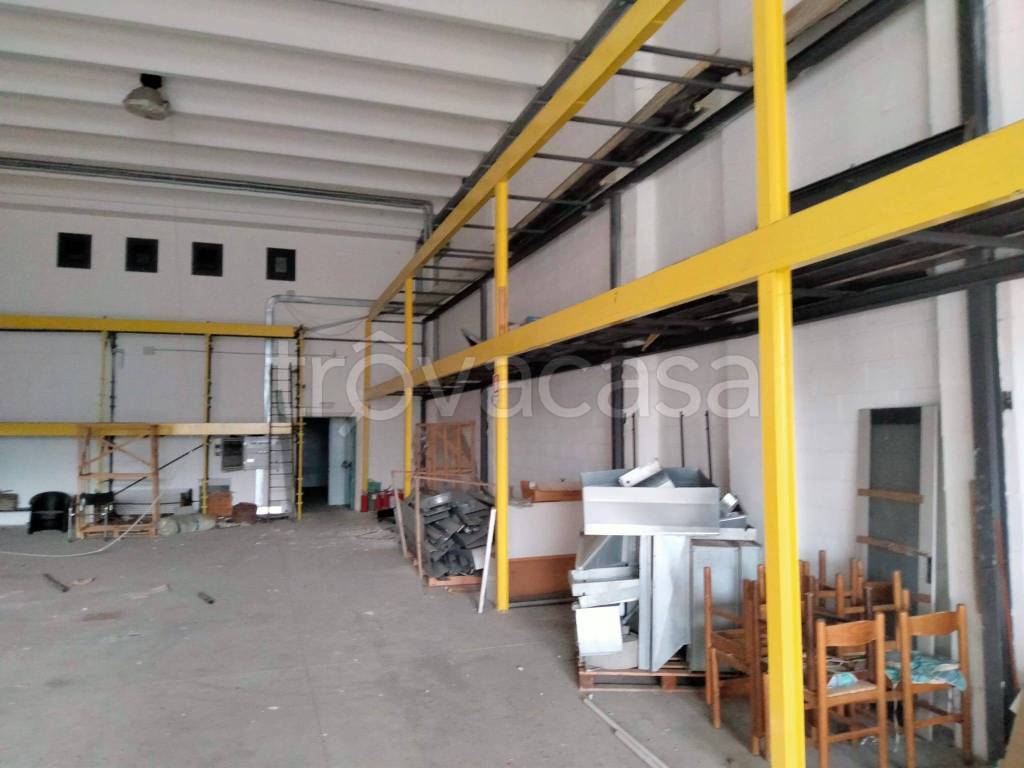 immagine annuncio 5 di 15