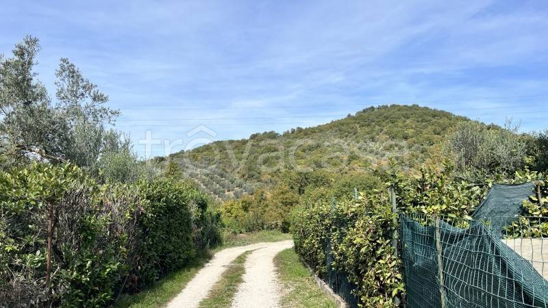 immagine annuncio 5 di 11