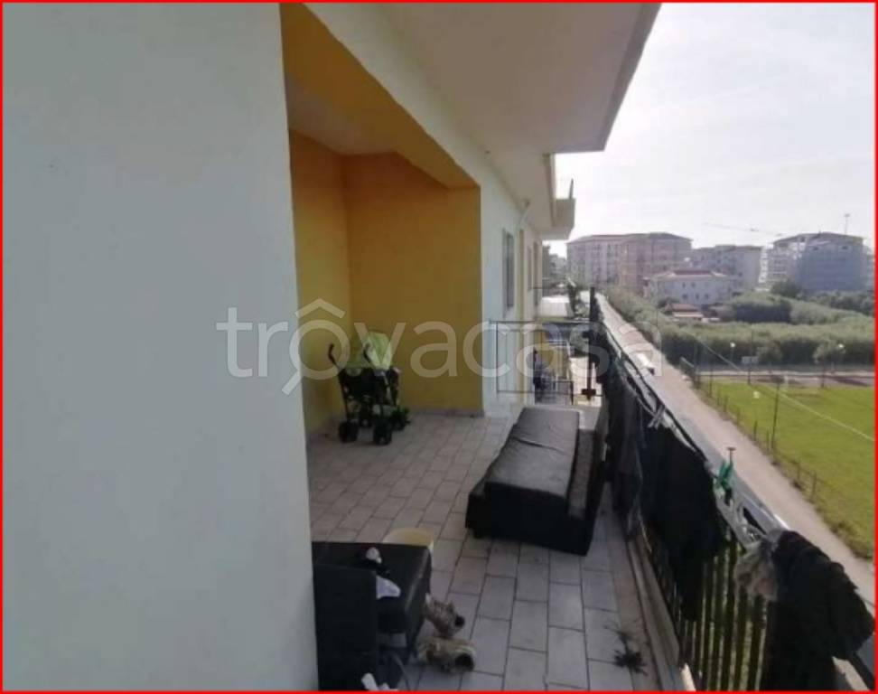 immagine annuncio 7 di 14