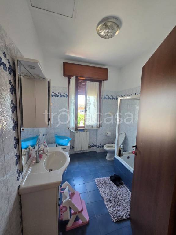 immagine annuncio 9 di 12