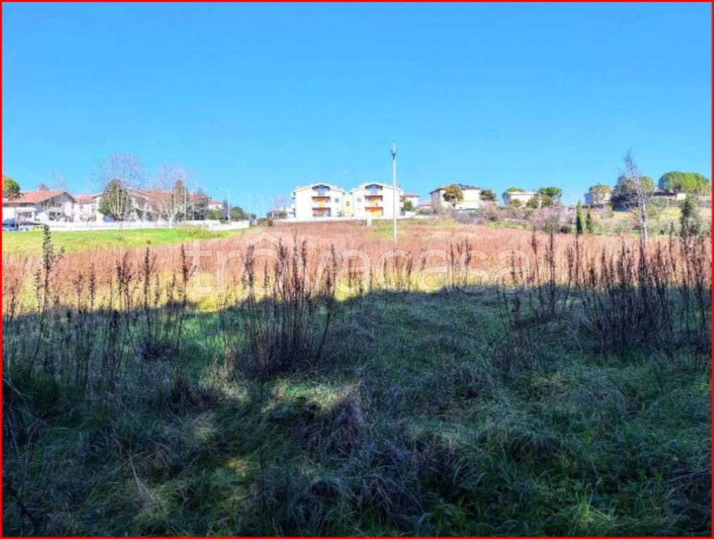 immagine annuncio 3 di 12