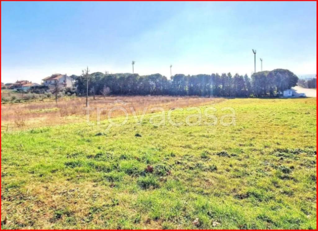 immagine annuncio 6 di 12