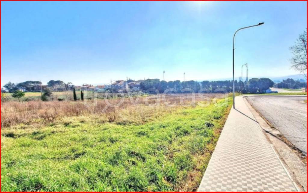 immagine annuncio 9 di 12