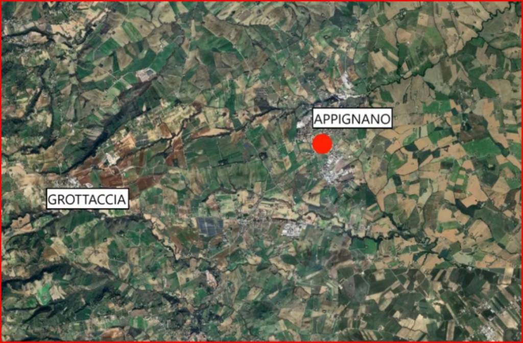 immagine annuncio 11 di 12