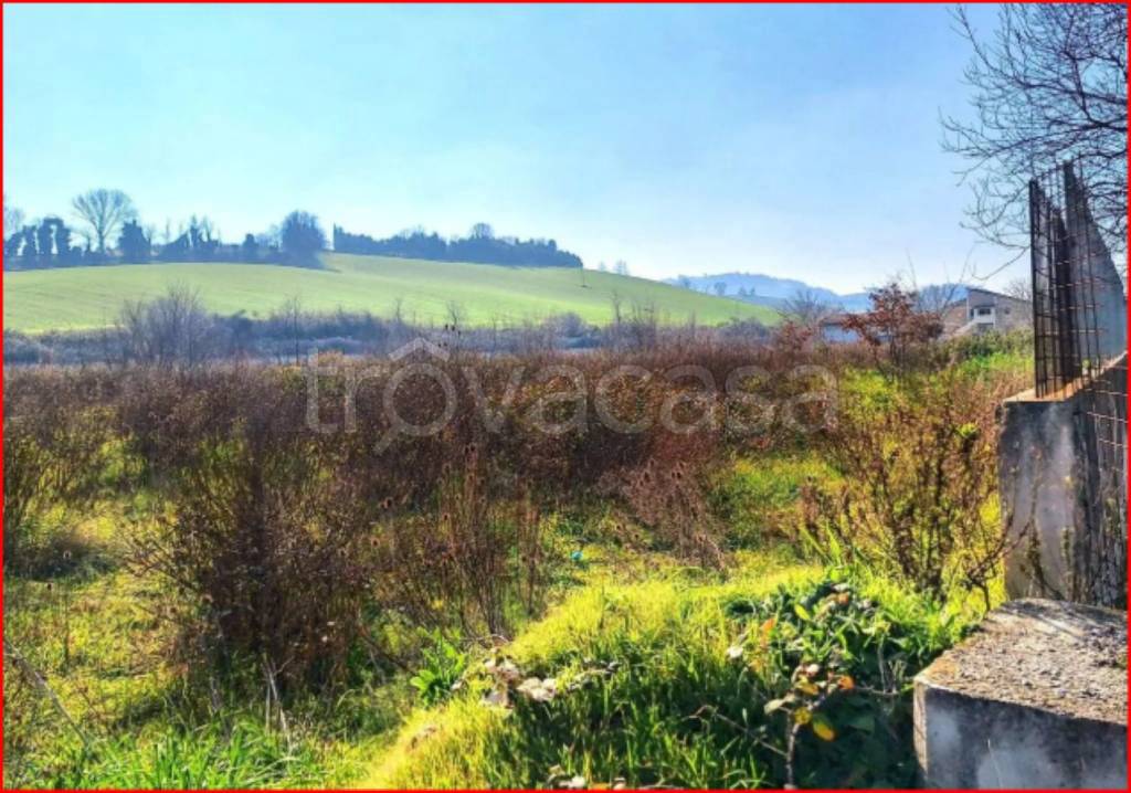 immagine annuncio 3 di 14