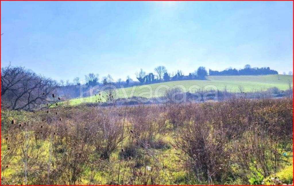 immagine annuncio 4 di 14