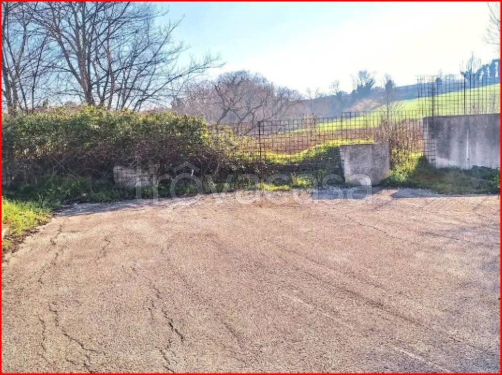 immagine annuncio 5 di 14