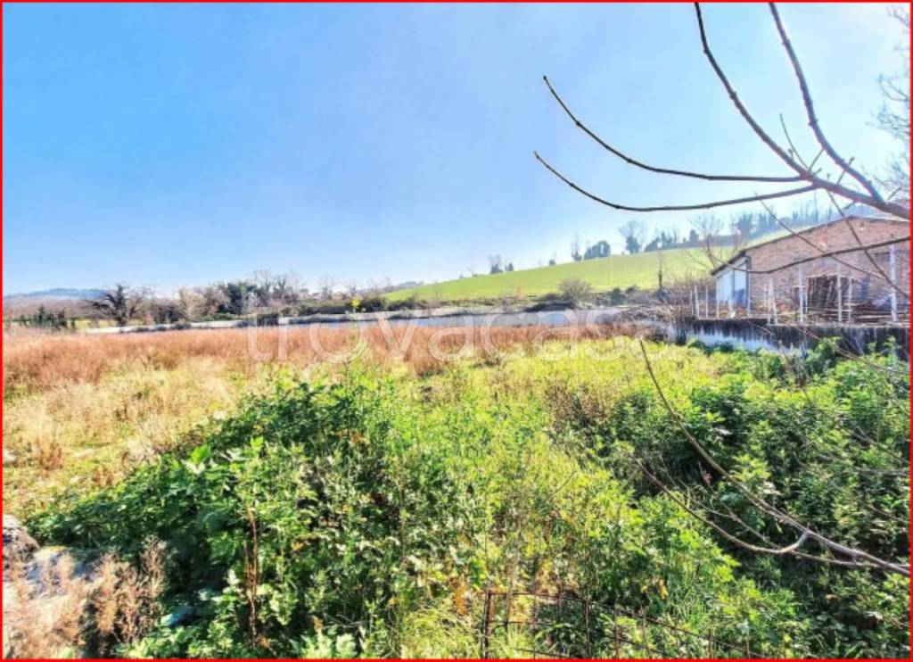 immagine annuncio 7 di 14