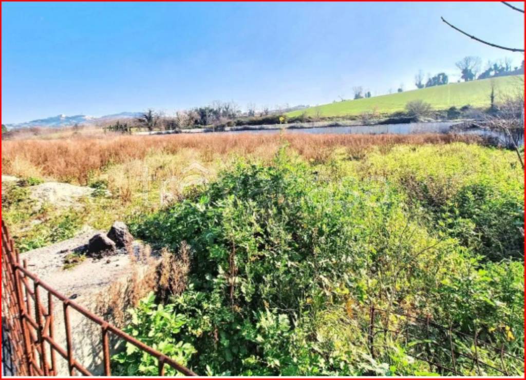 immagine annuncio 8 di 14