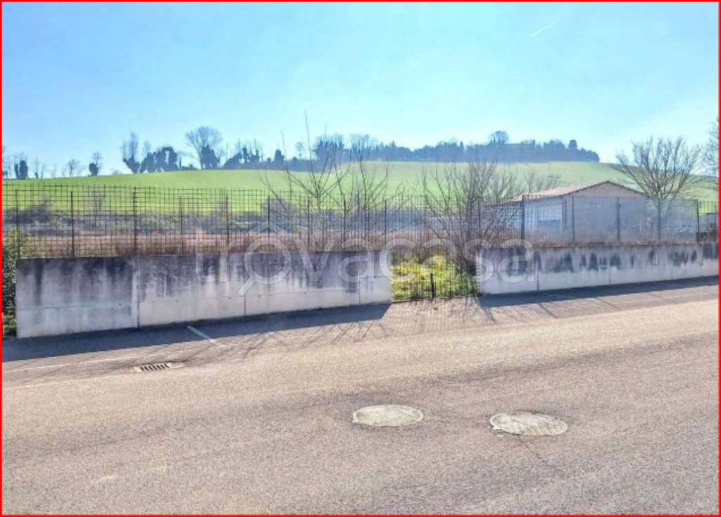 immagine annuncio 11 di 14