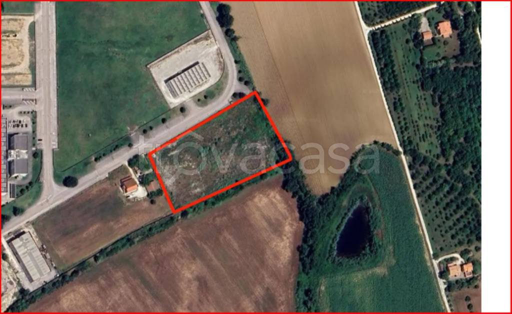 immagine annuncio 12 di 14