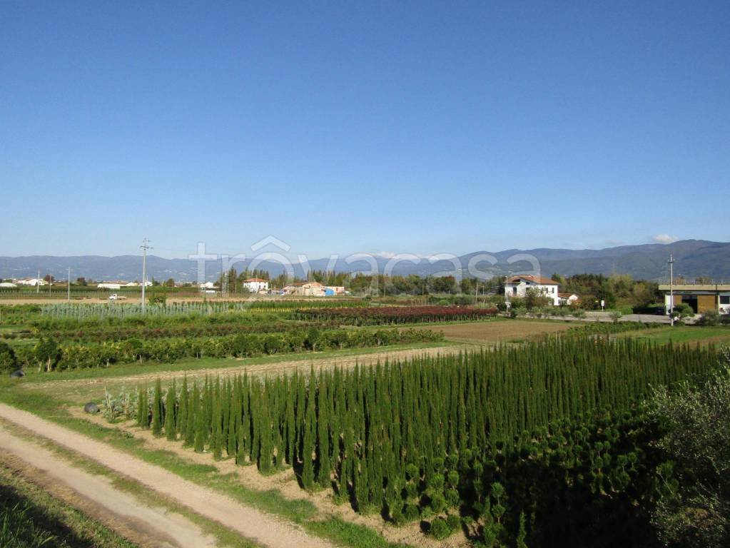 immagine annuncio 5 di 6