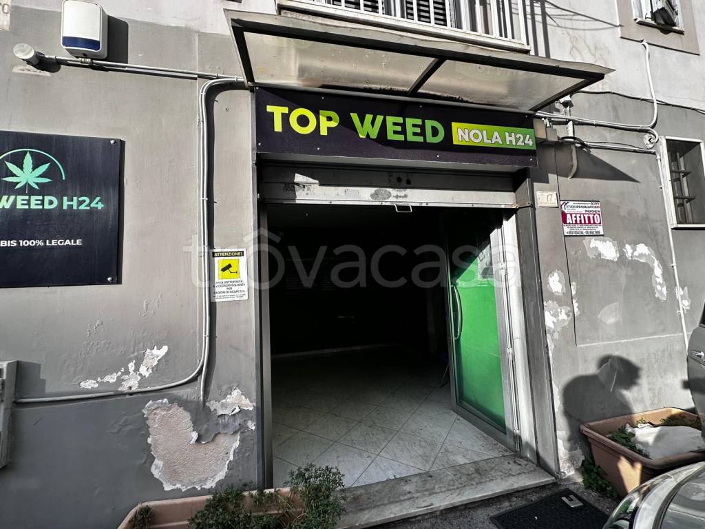 immagine annuncio 8 di 14