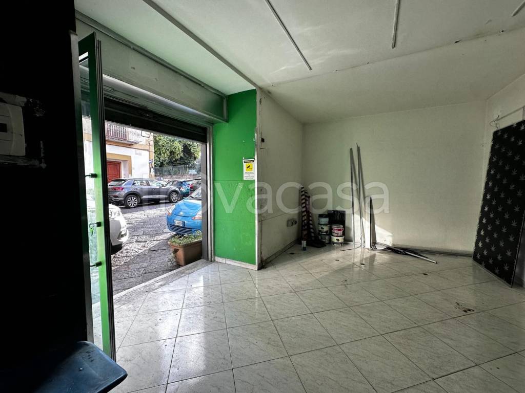 immagine annuncio 10 di 14