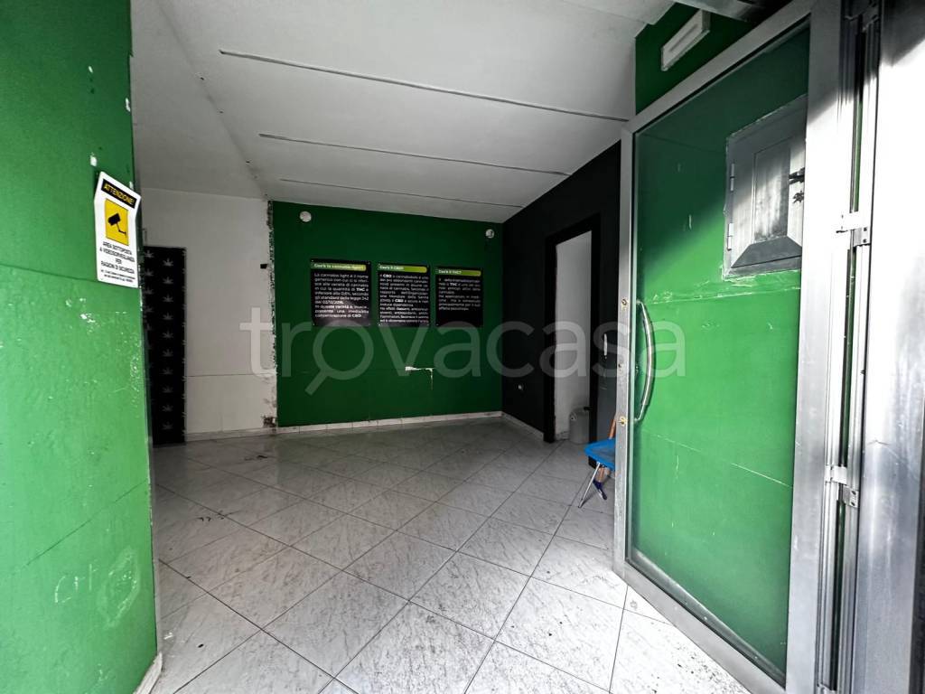 immagine annuncio 6 di 14