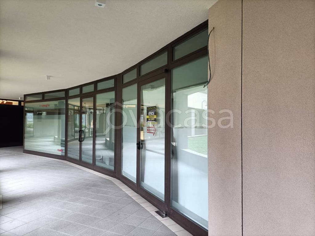 immagine annuncio 4 di 8