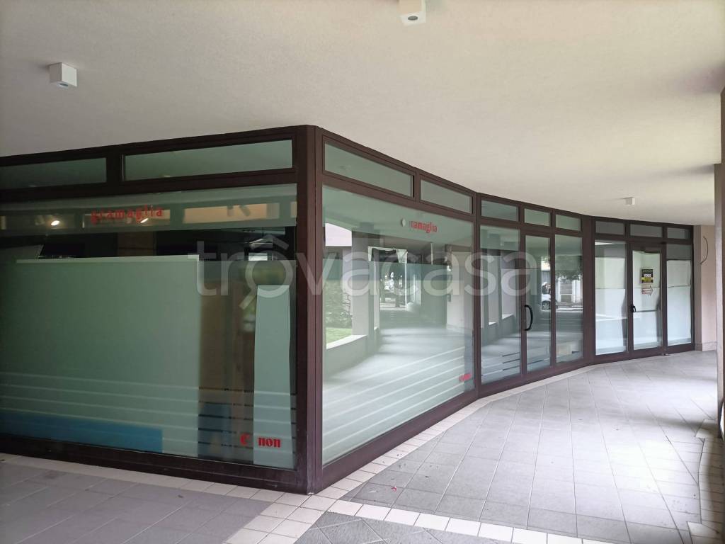 immagine annuncio 2 di 8