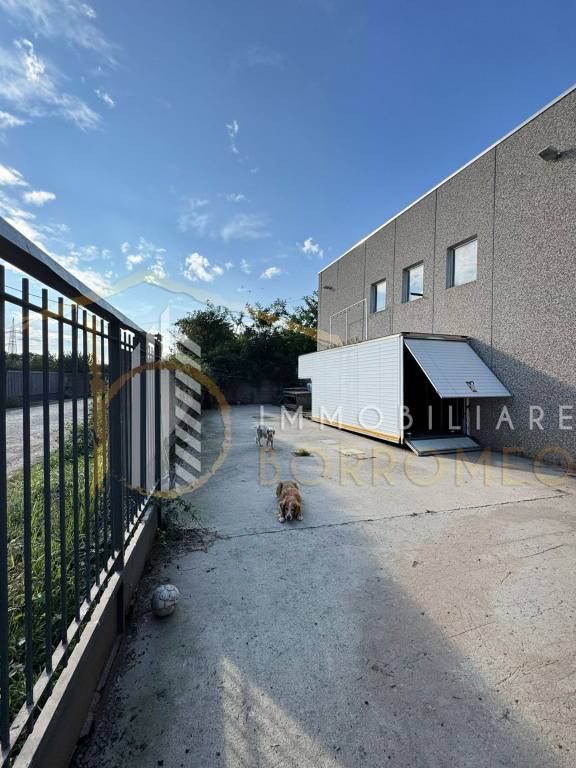 immagine annuncio 13 di 15