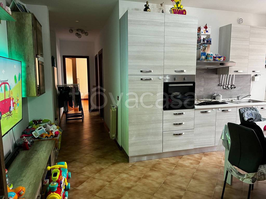 immagine annuncio 6 di 14