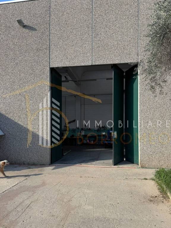 immagine annuncio 14 di 15