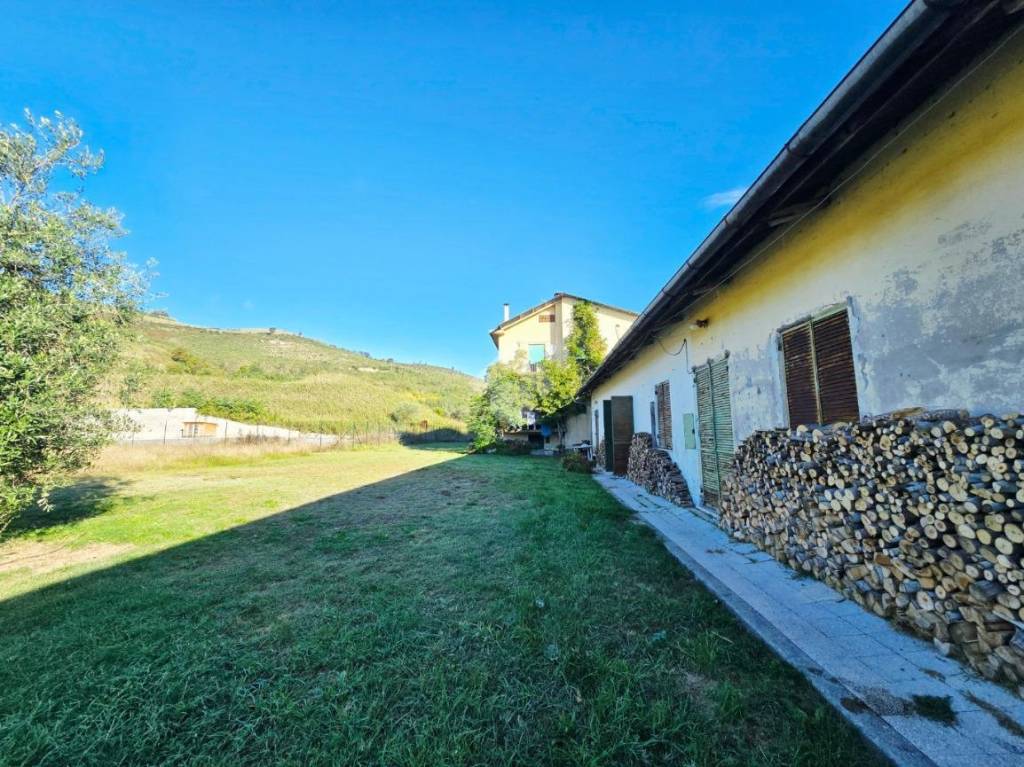 immagine annuncio 4 di 11