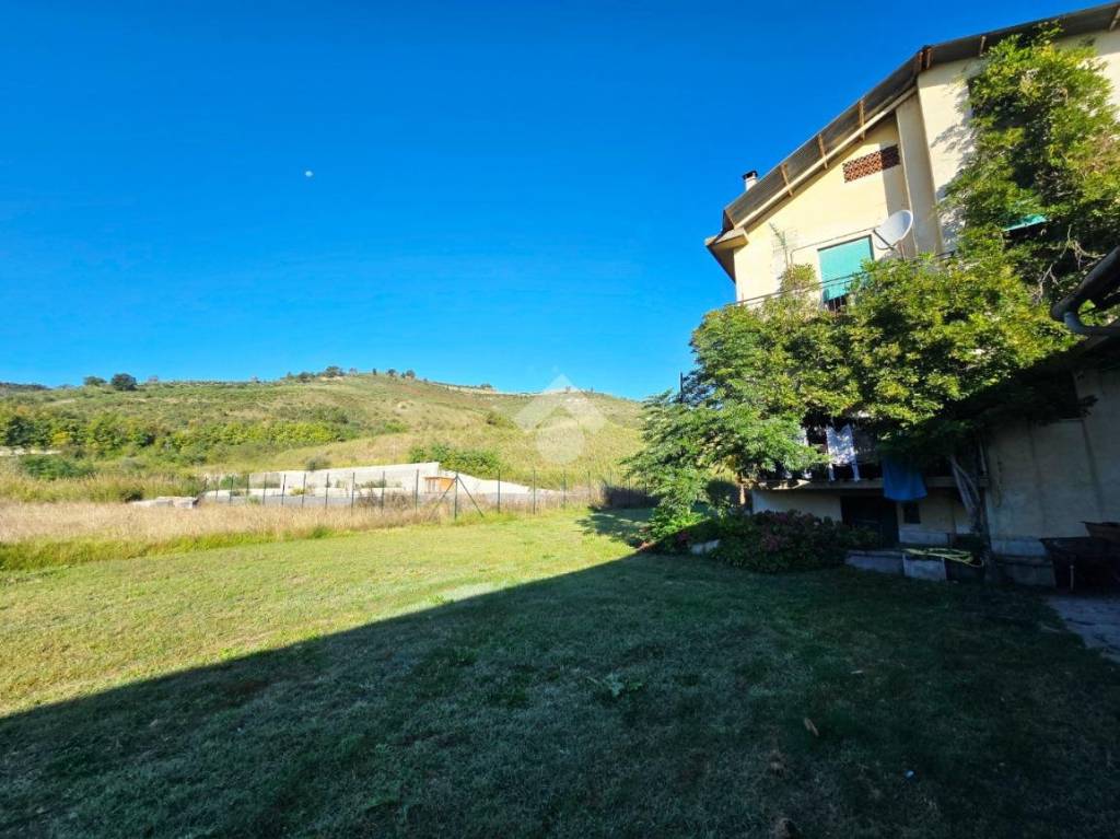 immagine annuncio 9 di 11