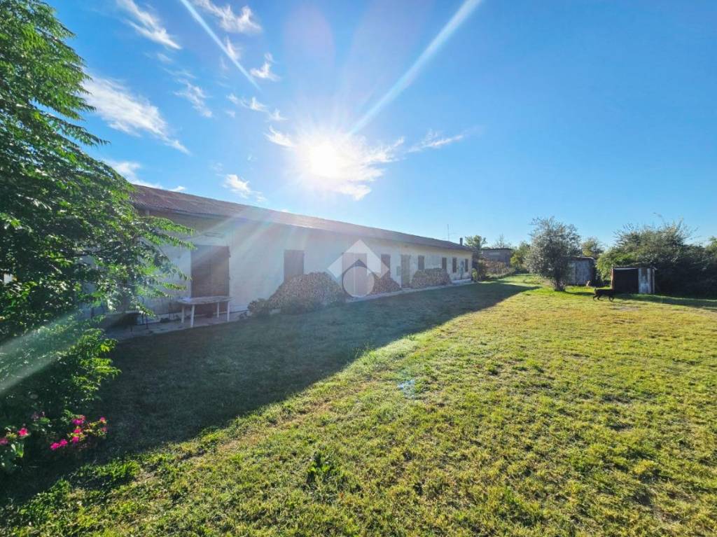 immagine annuncio 10 di 11