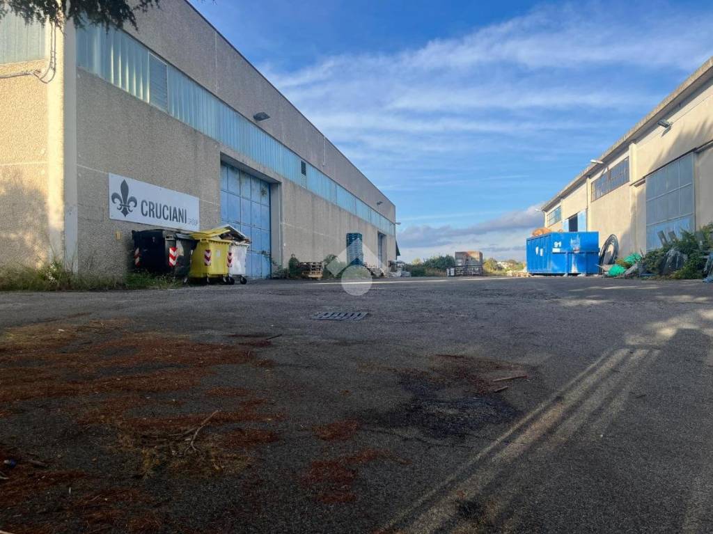 immagine annuncio 3 di 7