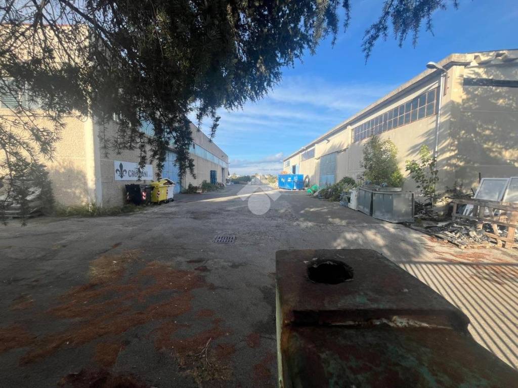 immagine annuncio 6 di 7