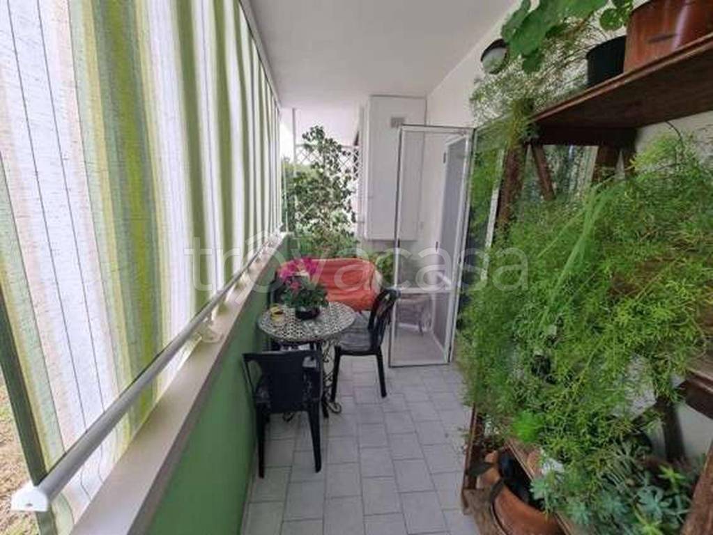 immagine annuncio 10 di 14