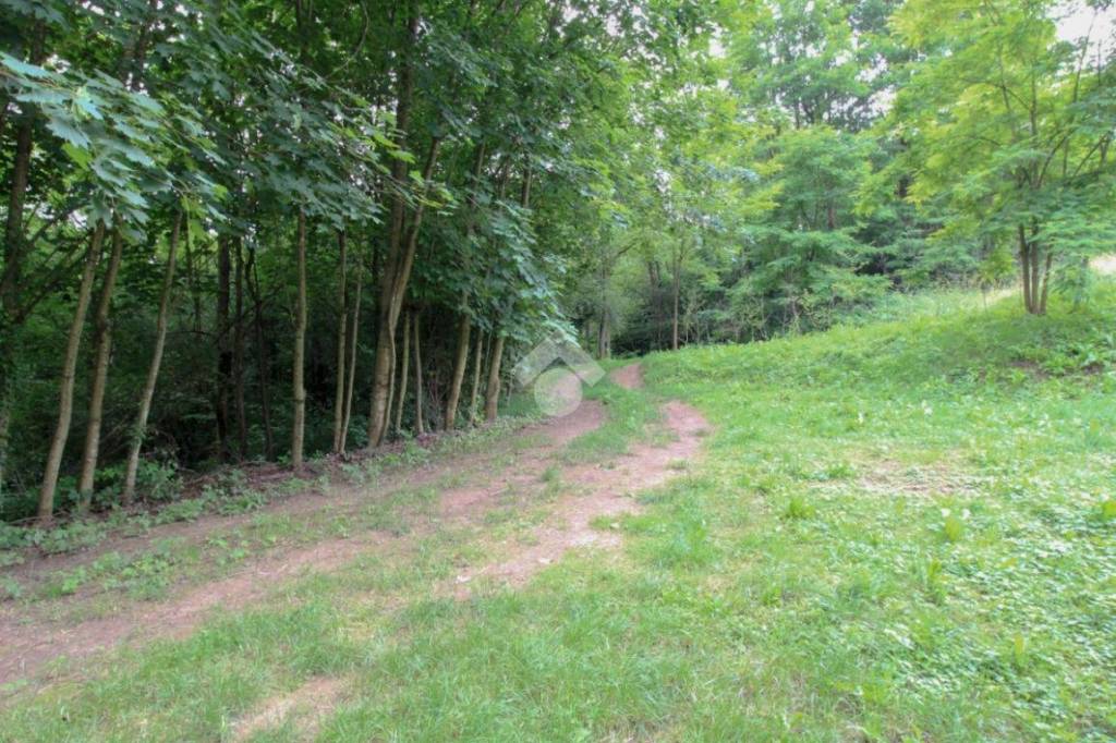 immagine annuncio 5 di 8