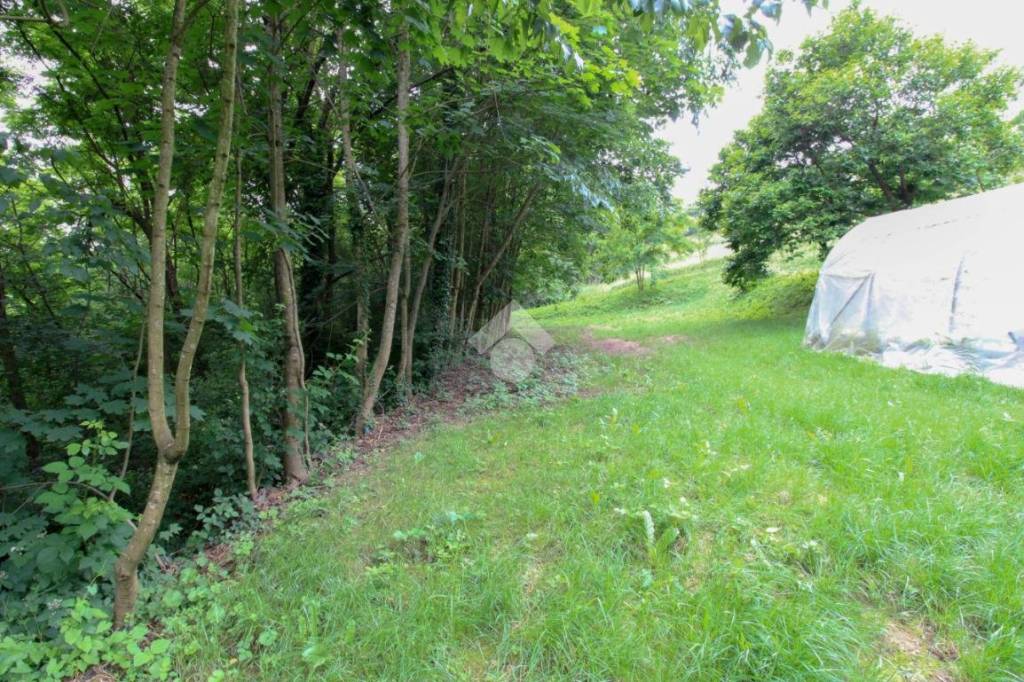 immagine annuncio 6 di 8