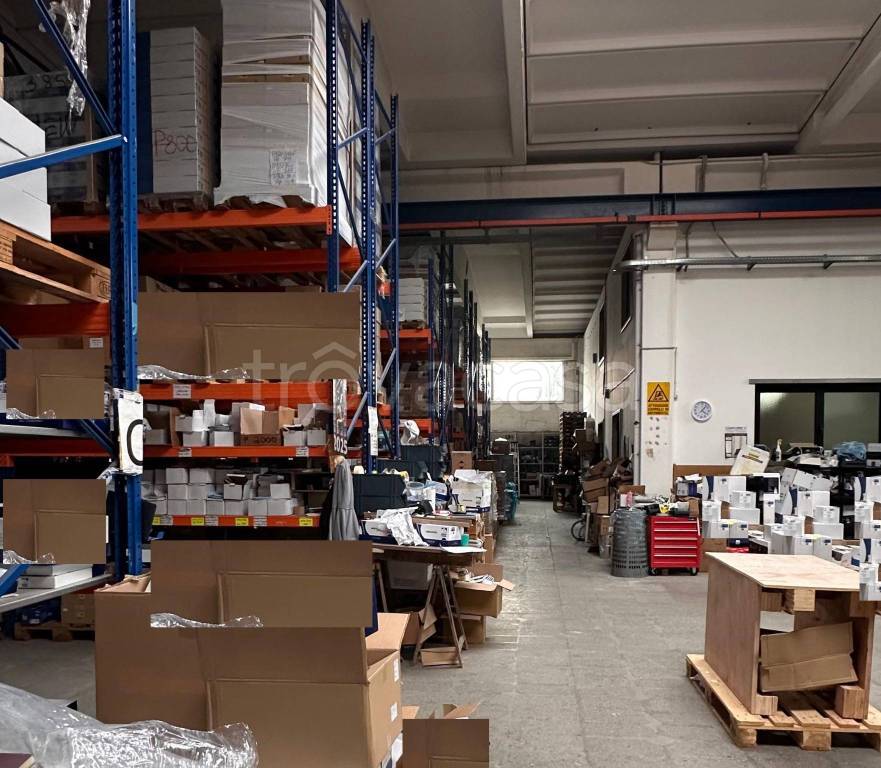 immagine annuncio 3 di 14