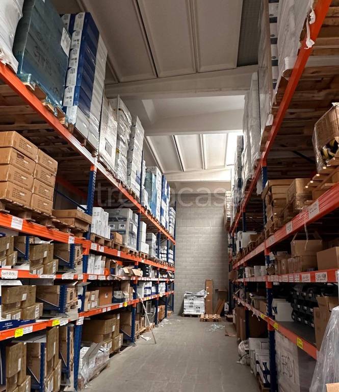 immagine annuncio 4 di 14