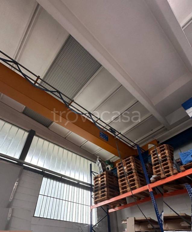 immagine annuncio 7 di 14