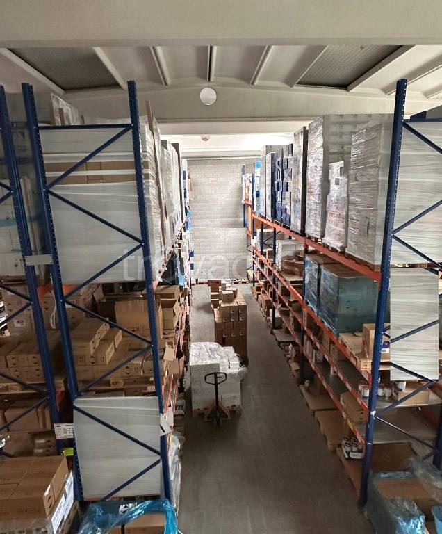 immagine annuncio 1 di 14