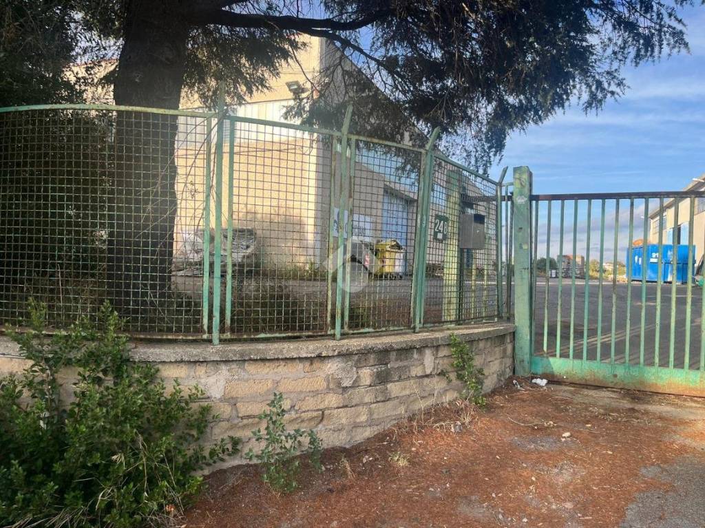 immagine annuncio 1 di 7