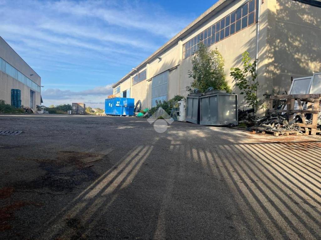 immagine annuncio 2 di 7