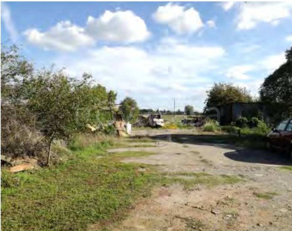 immagine annuncio 5 di 11