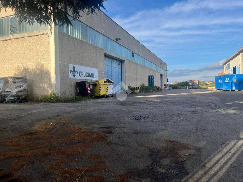 immagine annuncio 3 di 7