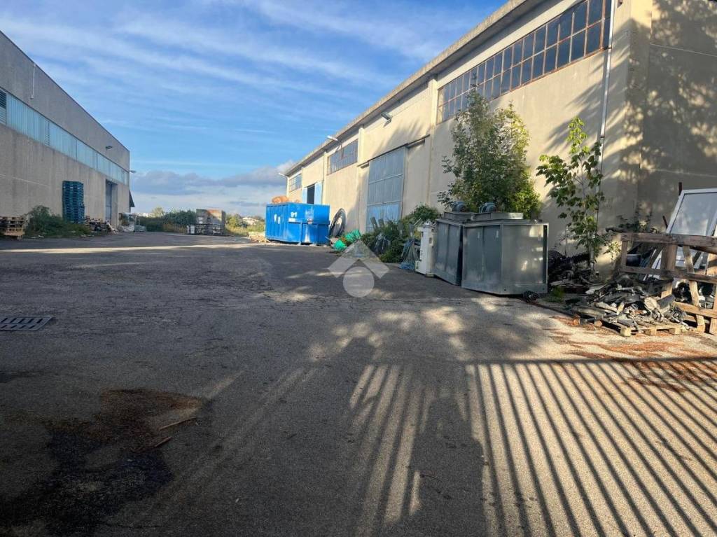 immagine annuncio 5 di 7