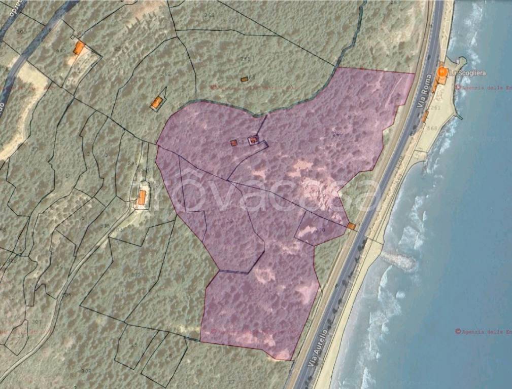 immagine annuncio 1 di 2