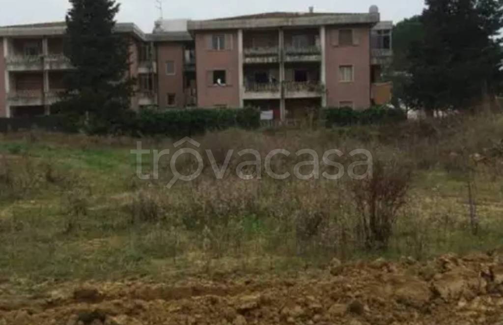 immagine annuncio 6 di 12