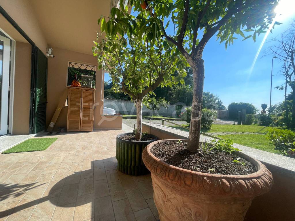 immagine annuncio 12 di 15