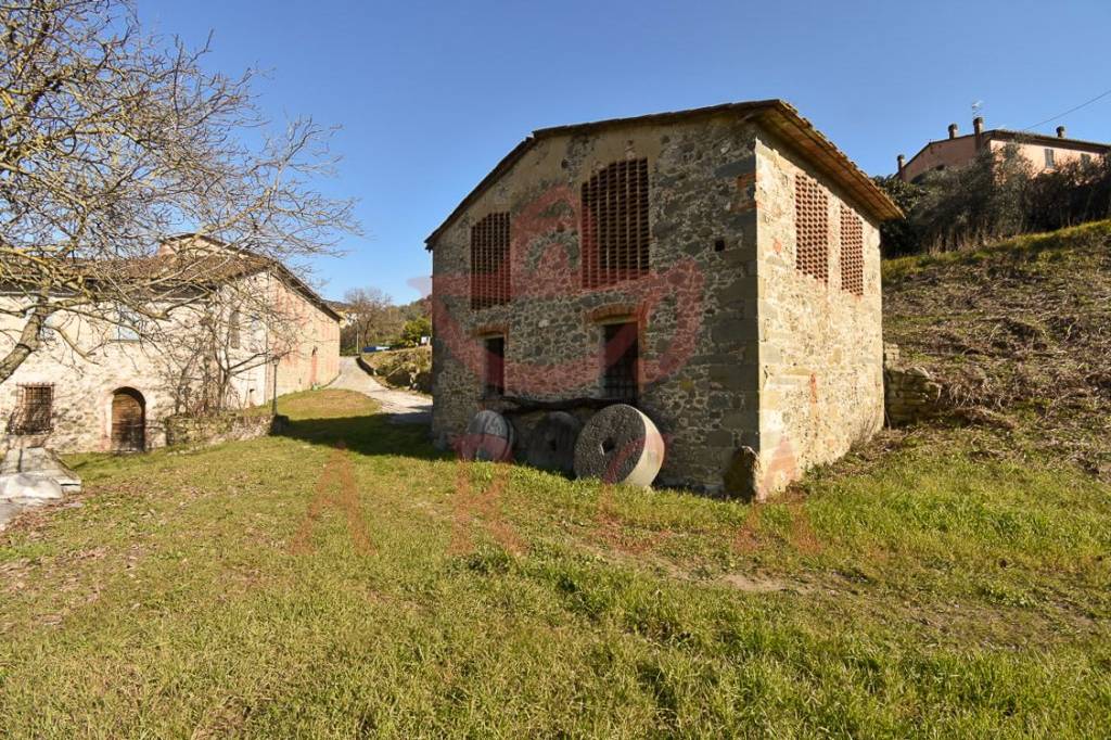 immagine annuncio 8 di 9